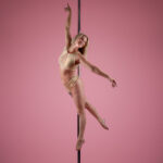 The Pole Hub - pole dance & fitness classes