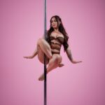 The Pole Hub - inviting pole dance & fitness class